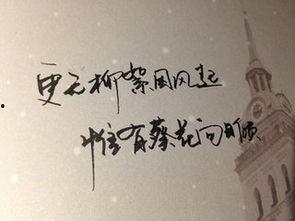 娱乐吃瓜酱经典语录短句,金句频出，笑料不断